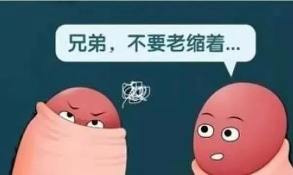 ԺƳWPϵл