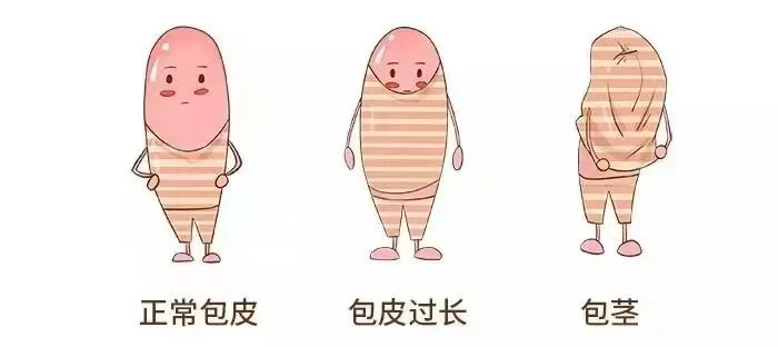 ԺƳWPϵл
