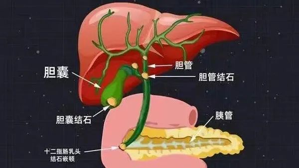 pRһλ׌đY(ji)ʯo̎ѭ